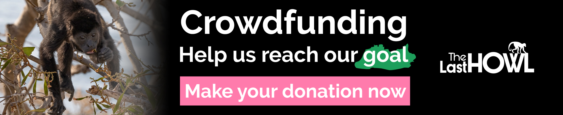 Banner-2-Crowdfunding